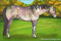 Horse Color:Nacre White Spotted Bay Ice Onyx