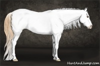 Horse Color:Buckskin Dun Frame Varnish
