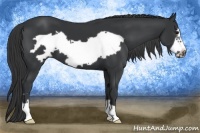 Horse Color:Black Frame 