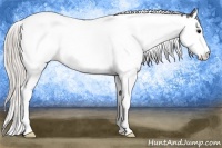 Horse Color:Silver Blue Roan Splash Tobiano