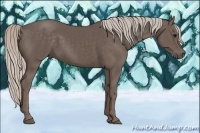 Horse Color:Silver Black 