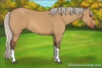 Horse Color:Silver Bay Dun