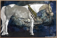 Horse Color:Silver Black Ice Sabino Tobiano