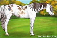 Horse Color:Red Onyx Sabino