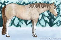 Horse Color:White Spotted Liver Chestnut Pearl  and White Spotted Bay Roan Pearl 