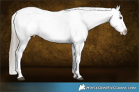 Horse Color:Liver Red Dun Blanket Brindle 