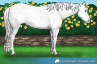 Horse Color:Liver Red Dun Near Leopard Brindle 