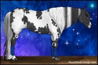 Horse Color:White Spotted Black