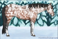 Horse Color:White Spotted Brown Ice Tobiano 