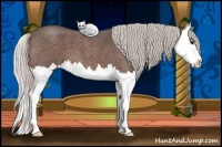 Horse Color:Silver Bay Roan Sabino Splash 