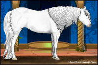 Horse Color:Gray Buckskin Roan Splash