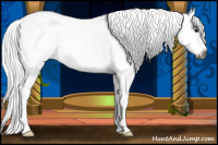 Horse Color:Gray Bay Roan Sabino Splash