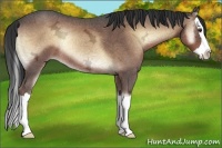 Horse Color:Liver Red Onyx Ice Splash Rabicano 