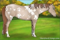 Horse Color:White Spotted Smoky Black Pearl 