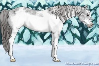 Horse Color:White Spotted Blue Roan Splash Frame Varnish 