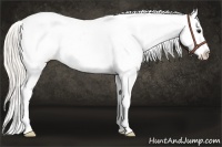 Horse Color:White Spotted Silver Buckskin Blanket 