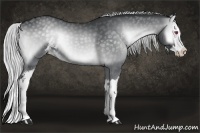 Horse Color:Silver Blue Onyx Chinchilla Sabino Splash