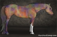 Horse Color:Nacre Buckskin 