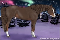 Horse Color:Liver Chestnut Sabino Splash