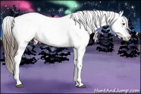Horse Color:Liver Chestnut Sabino Near Leopard 