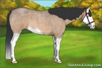Horse Color:Bay Roan Dun Sabino Splash 