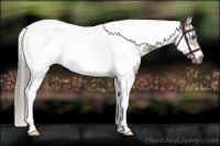 Horse Color:White Spotted Liver Red Dun Splash Tobiano Frame 