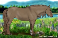 Horse Color:Liver Red Dun Sabino Rabicano 