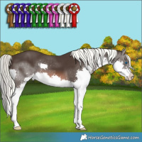 Horse Color:Liver Chestnut Mushroom Splash 