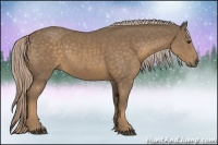 Horse Color:Chocolate Palomino 