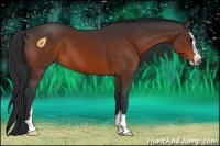 Horse Color:Bay Sabino 