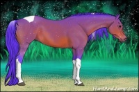 Horse Color:Watercolor Bay Tobiano 