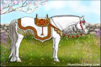 Horse Color:Buckskin Appaloosa Rabicano