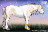 Horse Color:Nacre Silver Amber Cream Champagne Ice Dun Tobiano Frame Rabicano