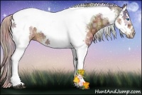 Horse Color:Nacre Liver Chestnut Ice Splash Tobiano Frame Rabicano