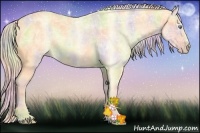 Horse Color:Nacre Silver Amber Cream Champagne Ice Dun Sabino Rabicano