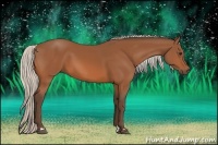 Horse Color:Silver Bay 