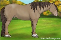 Horse Color:Classic Champagne 
