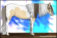 Horse Color:Amber Cream Champagne Splash Tobiano
