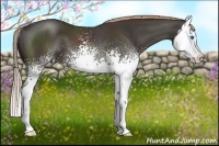 Horse Color:White Spotted Liver Chestnut Sabino Splash 