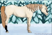 Horse Color:Buckskin Pearl Dun 