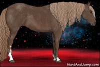 Horse Color:Liver Chestnut Sabino 