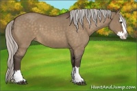 Horse Color:Silver Bay Roan Dun Splash 
