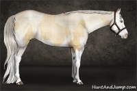 Horse Color:Plaid Red Dun Pearl Splash and Plaid Chocolate Palomino Pearl Onyx Splash