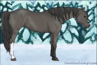 Horse Color:Smoky Grullo 