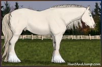 Horse Color:Perlino 