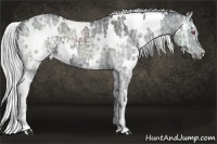 Horse Color:White Spotted Silver Smoky Black Chinchilla Ice 