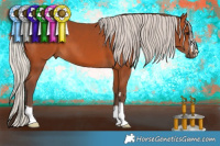 Horse Color:Silver Bay 