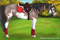 Horse Color:Bay Roan Splash Frame Rabicano