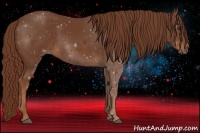 Horse Color:Chestnut Sabino