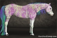 Horse Color:Watercolor Bay Ice Sabino Rabicano and Watercolor Bay Ice Sabino Rabicano